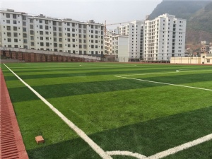 云南省文山壯族苗族自治州富寧第一中學(xué) 4000多平方